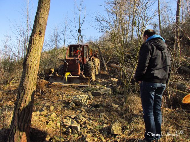 lokality-morava-pokojovice-2017-korund-34