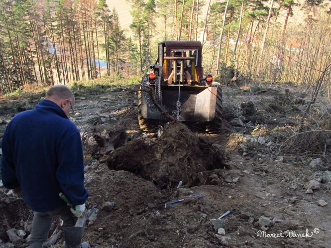 lokality-morava-pokojovice-2017-korund-36