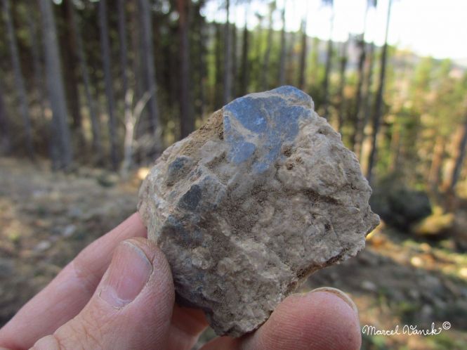 lokality-morava-pokojovice-2017-korund-39