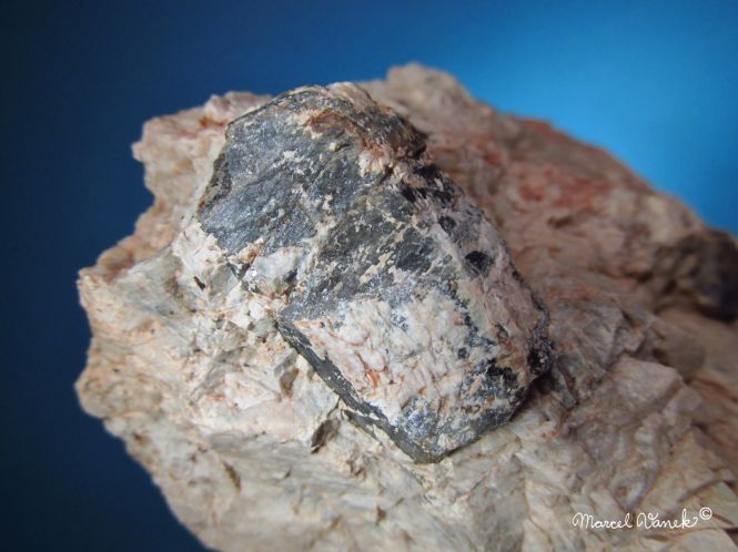 lokality-morava-pokojovice-2017-korund-44