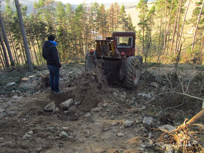 lokality-morava-pokojovice-2017-korund-45