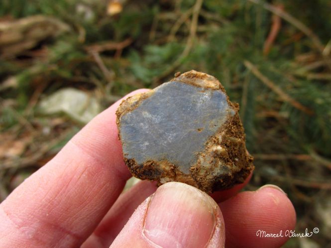 lokality-morava-pokojovice-2017-korund-53