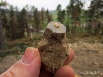 lokality-morava-pokojovice-2017-korund-54