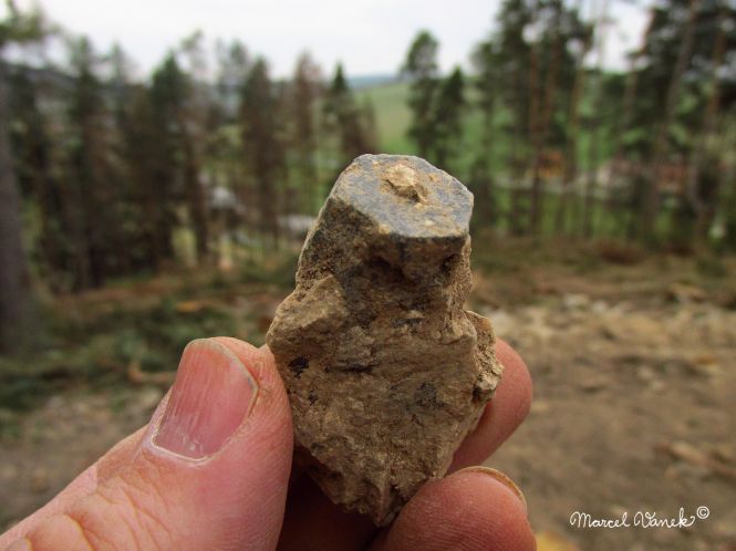 lokality-morava-pokojovice-2017-korund-54