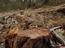 lokality-morava-pokojovice-2017-korund-61