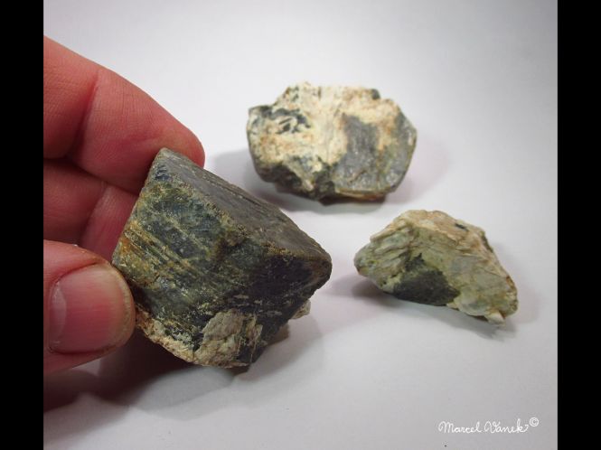 lokality-morava-pokojovice-2017-korund-66