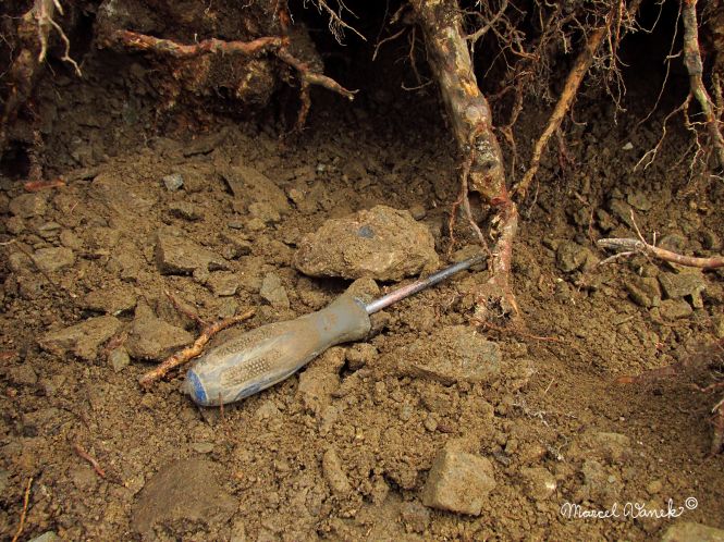 lokality-morava-pokojovice-2017-korund-70