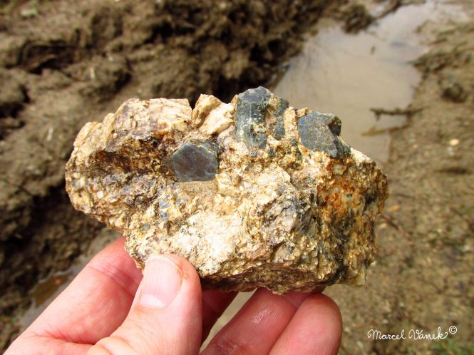 lokality-morava-pokojovice-2017-korund-73