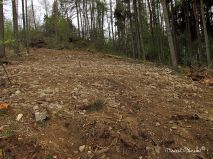 lokality-morava-pokojovice-2017-korund-74