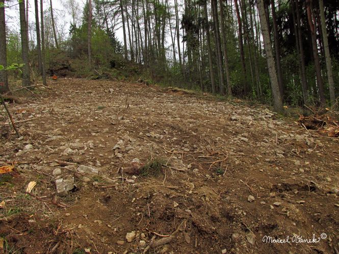 lokality-morava-pokojovice-2017-korund-74