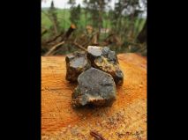 lokality-morava-pokojovice-2017-korund-80