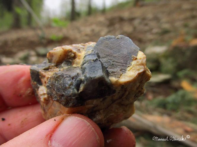 lokality-morava-pokojovice-2017-korund-81