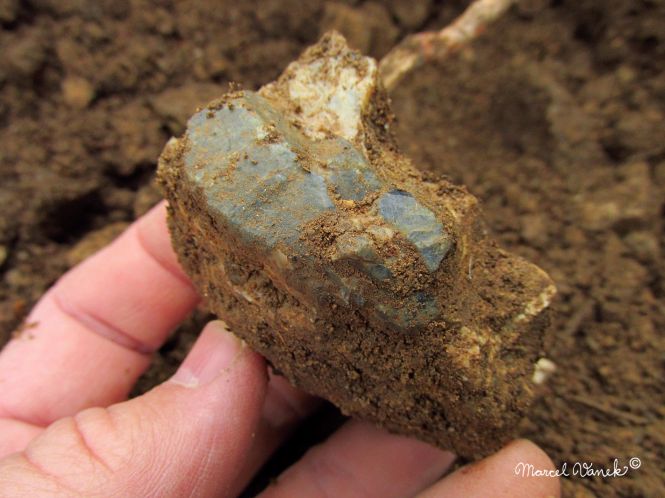 lokality-morava-pokojovice-2017-korund-83