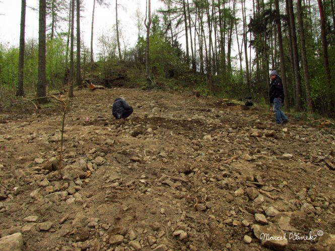 lokality-morava-pokojovice-2017-korund-86