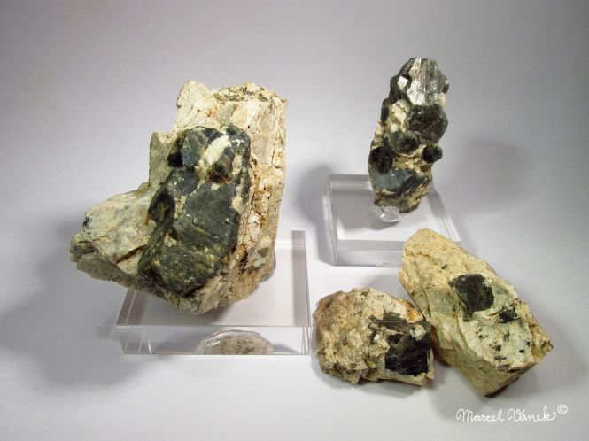 lokality-morava-pokojovice-2017-korund-88