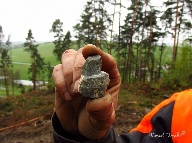 lokality-morava-pokojovice-2017-korund-92