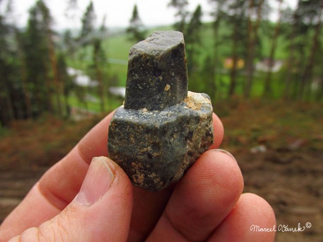 lokality-morava-pokojovice-2017-korund-93