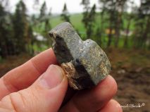 lokality-morava-pokojovice-2017-korund-94