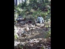 lokality-morava-pokojovice-003-korund