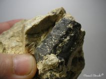 lokality-morava-pokojovice-015-korund