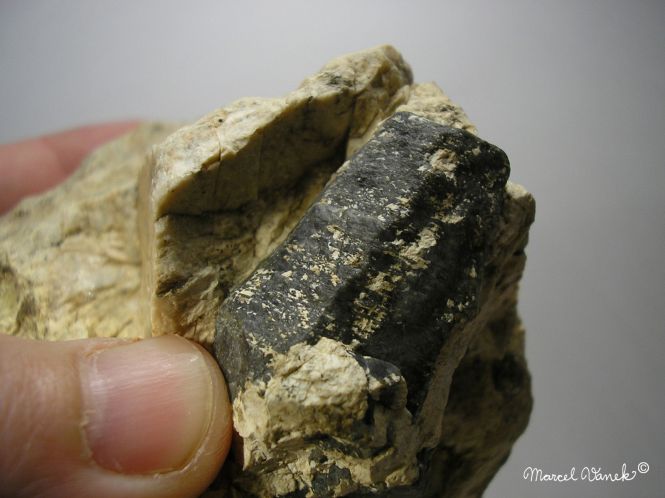 lokality-morava-pokojovice-015-korund