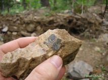 lokality-morava-pokojovice-017-korund