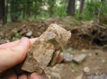 lokality-morava-pokojovice-020-korund