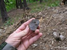 lokality-morava-pokojovice-048-korund