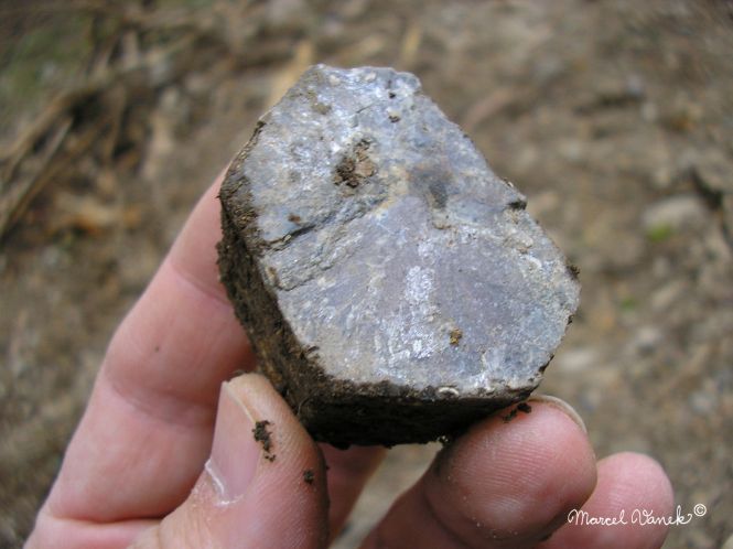 lokality-morava-pokojovice-049-korund