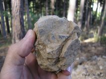 lokality-morava-pokojovice-061-korund