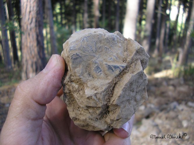 lokality-morava-pokojovice-061-korund