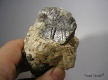 lokality-morava-pokojovice-063-korund