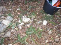 lokality-morava-pokojovice-065-korund