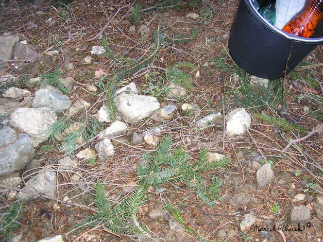 lokality-morava-pokojovice-065-korund