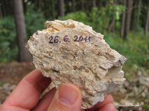 lokality-morava-pokojovice-072-korund