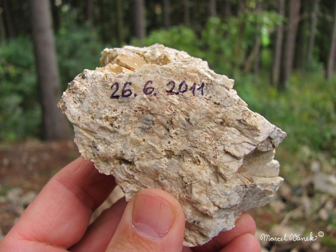 lokality-morava-pokojovice-072-korund