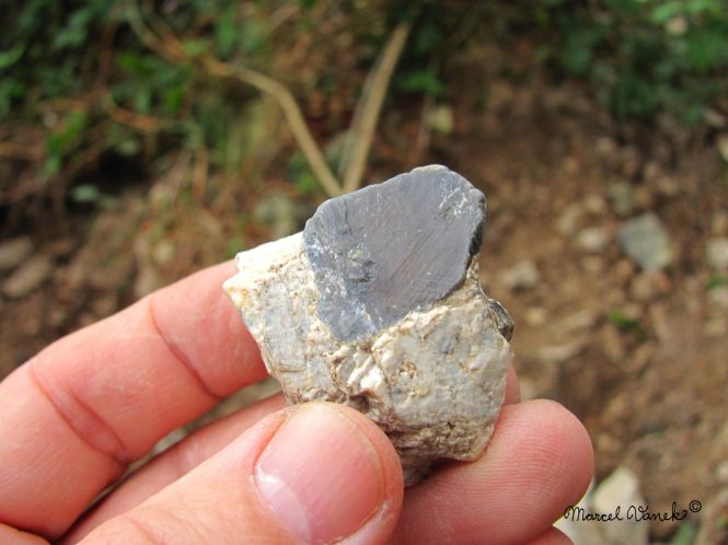 lokality-morava-pokojovice-074-korund