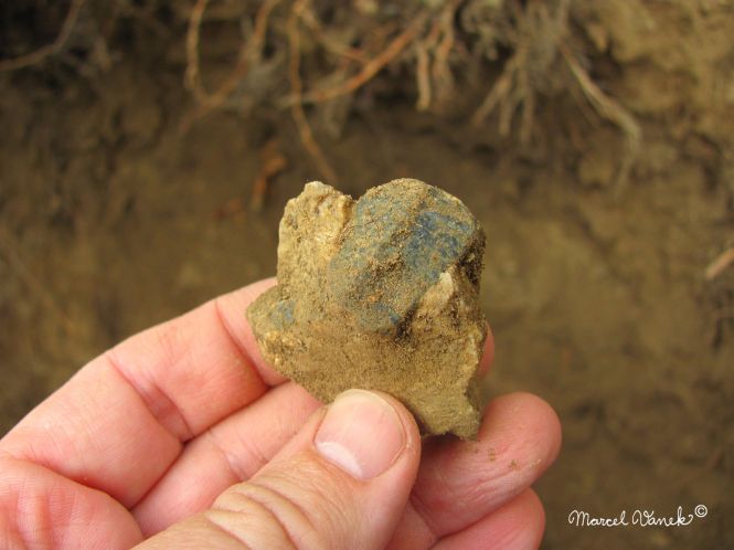 lokality-morava-pokojovice-082-korund