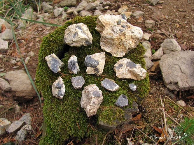 lokality-morava-pokojovice-085-korund