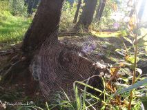 lokality-morava-pokojovice-086-korund