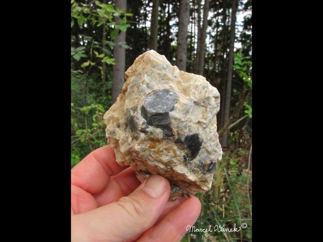 lokality-morava-pokojovice-094-korund