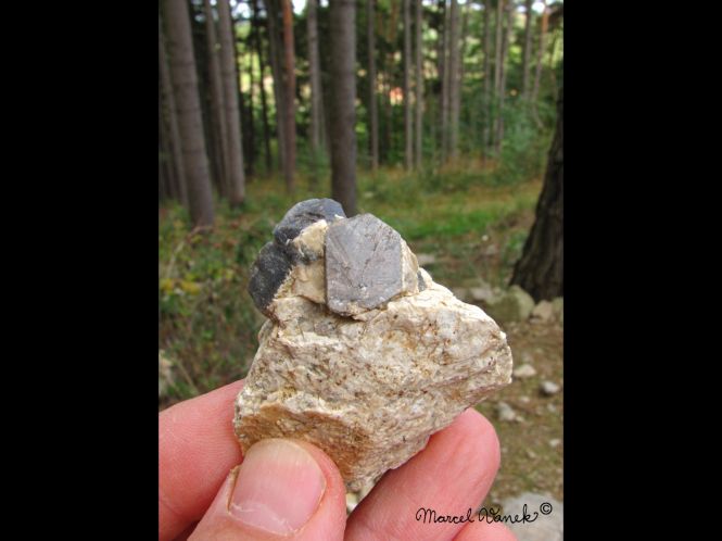 lokality-morava-pokojovice-096-korund