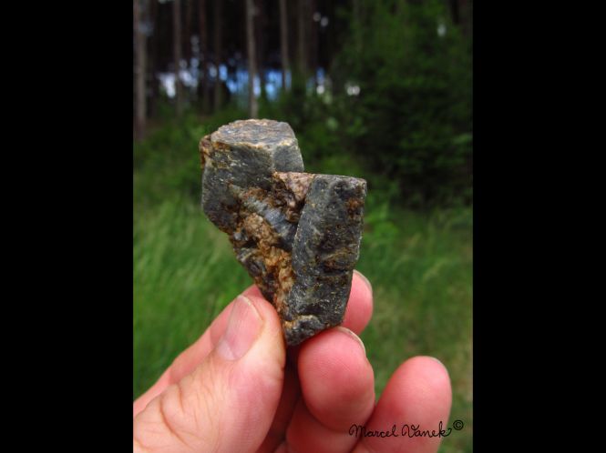 lokality-morava-pokojovice-101-korund