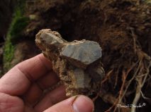 lokality-morava-pokojovice-108-korund