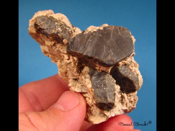 lokality-morava-pokojovice-112-korund