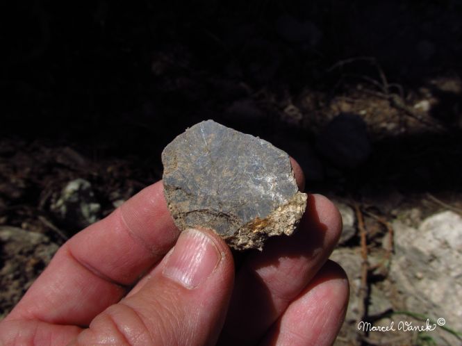 lokality-morava-pokojovice-115-korund