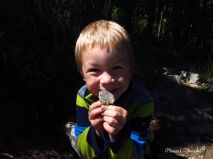 lokality-morava-pokojovice-116-korund