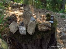 lokality-morava-pokojovice-119-korund