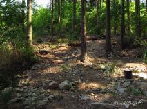 lokality-morava-pokojovice-120-korund