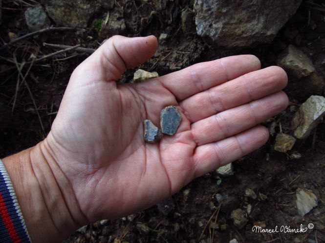 lokality-morava-pokojovice-122-korund